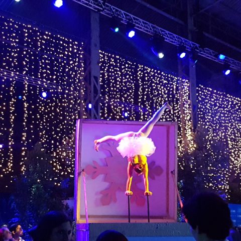 OralMED — Festa de Natal 2017