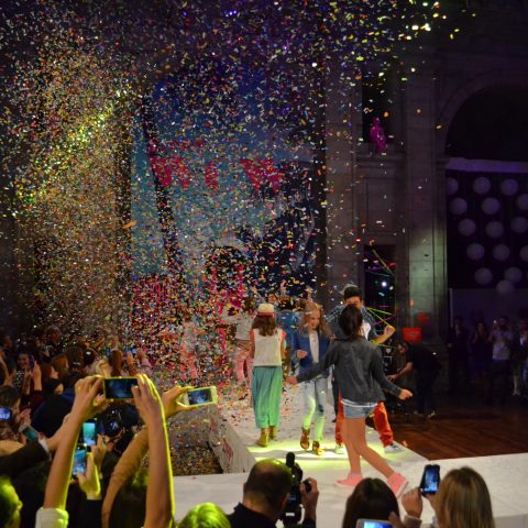 Zippy — WOW! Colecção 2015